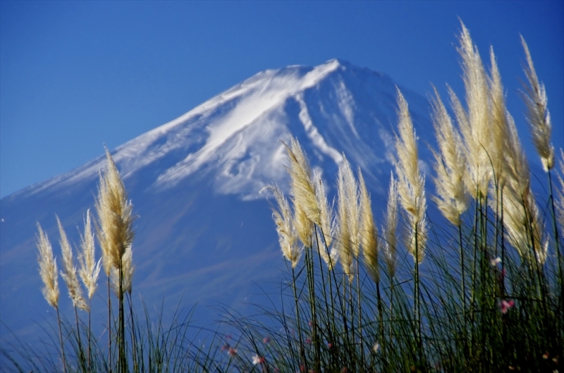 富士山画像作品