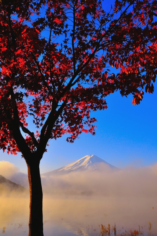 富士山画像作品