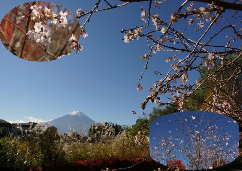 富士山画像記録