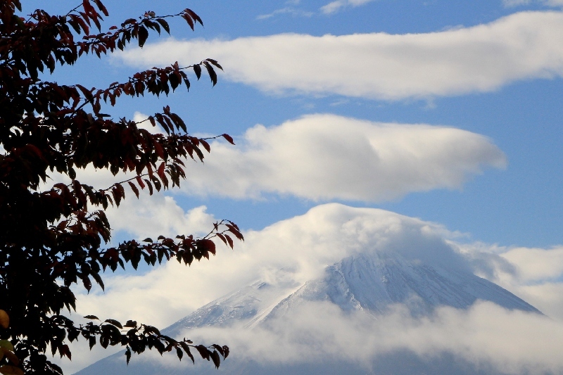 富士山画像作品