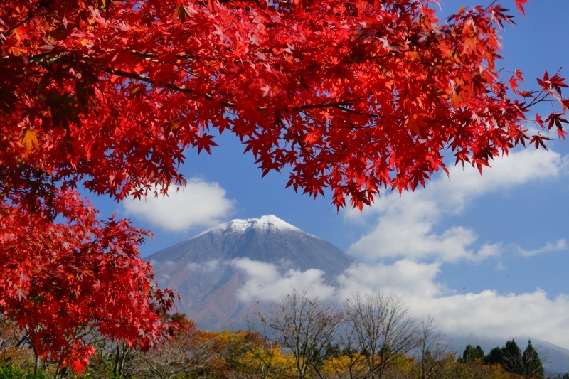 富士山画像作品