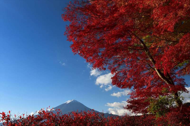 富士山画像作品