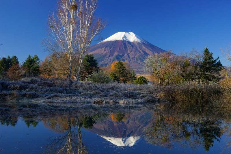 富士山画像作品