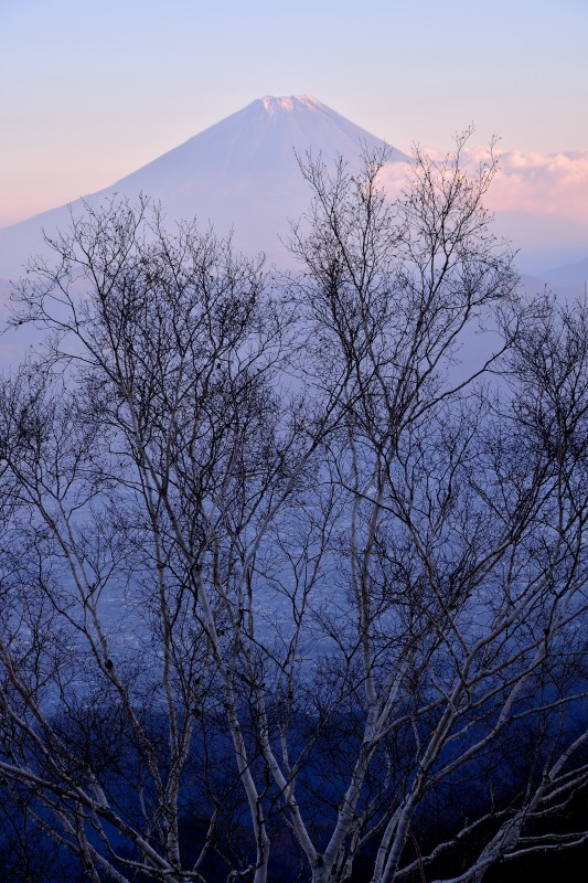 富士山画像作品