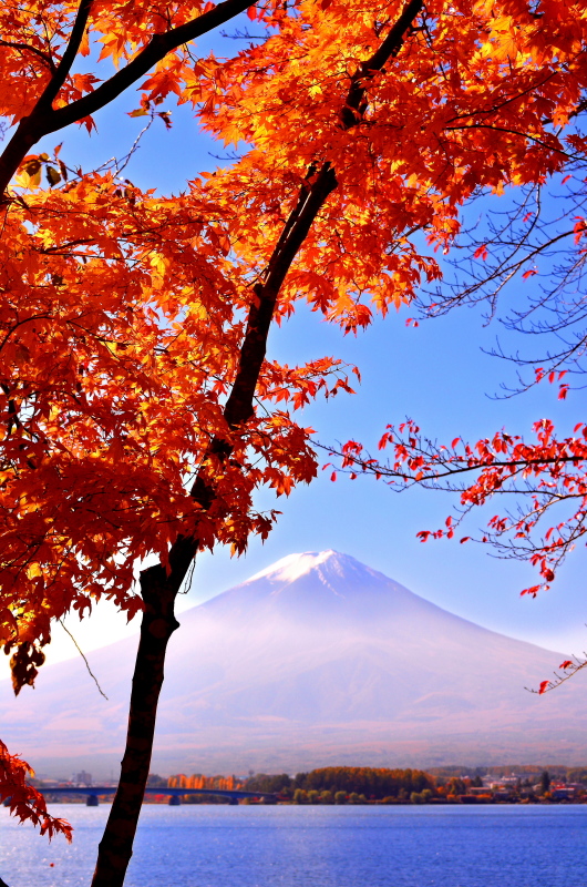 富士山画像記録