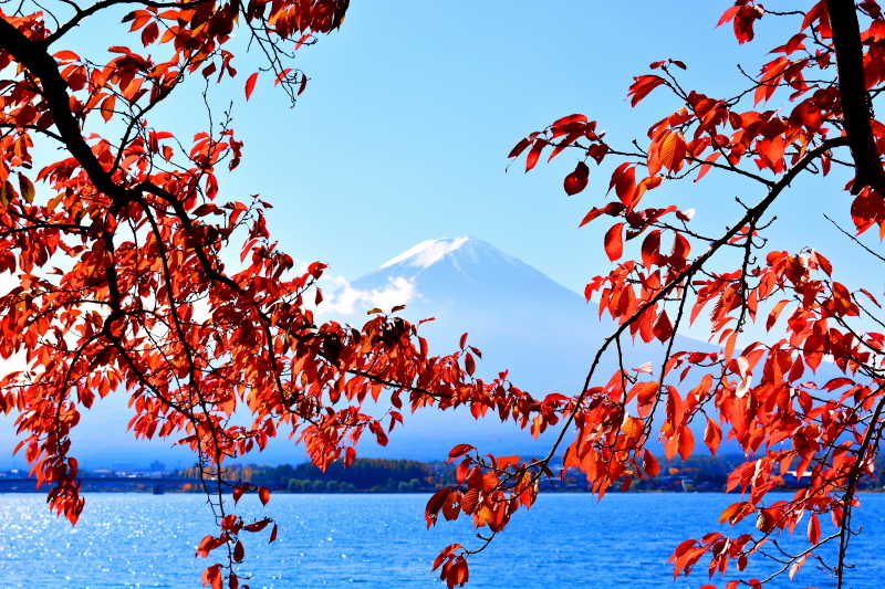 富士山画像記録