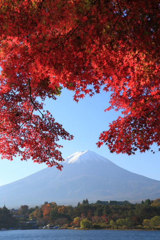 富士山画像作品