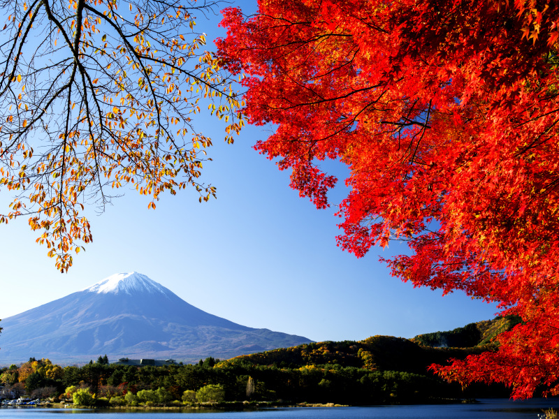 富士山画像作品