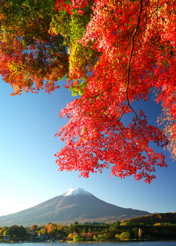 富士山画像作品