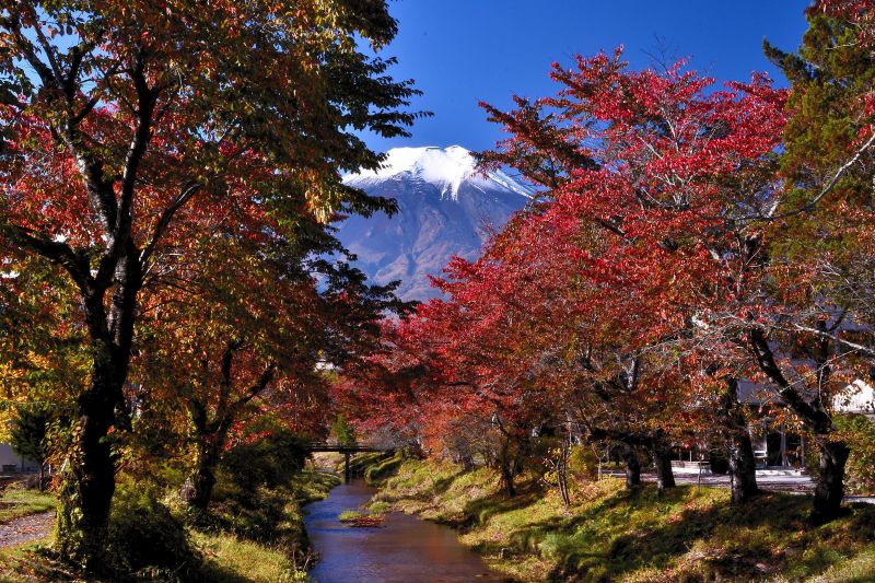 富士山画像作品