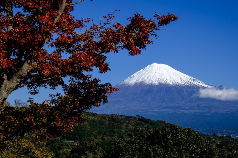 富士山画像作品