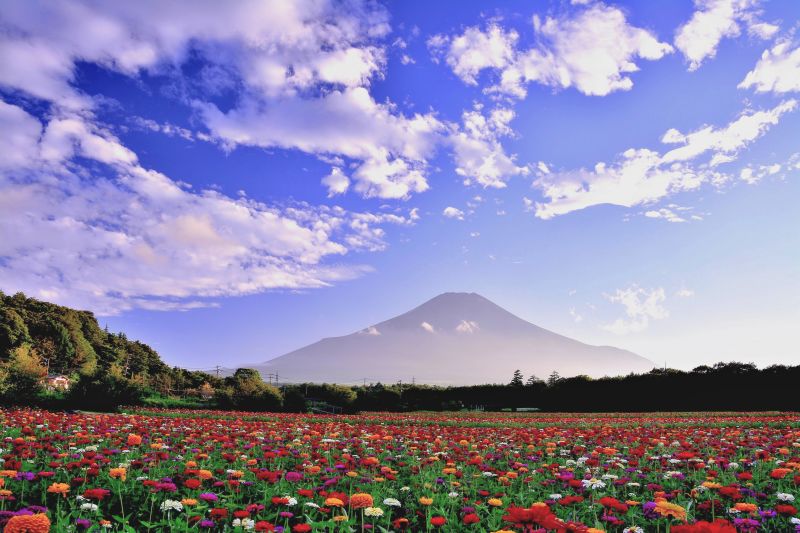 富士山画像作品