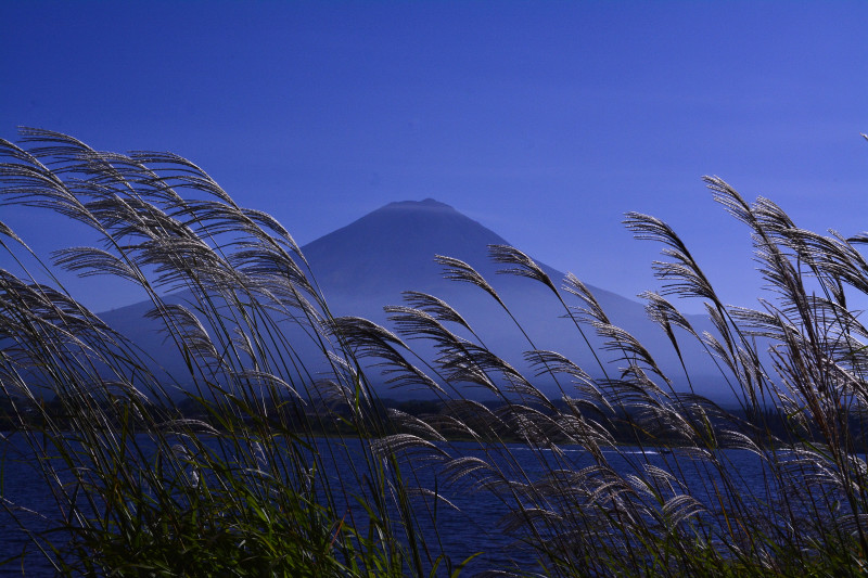 富士山画像作品