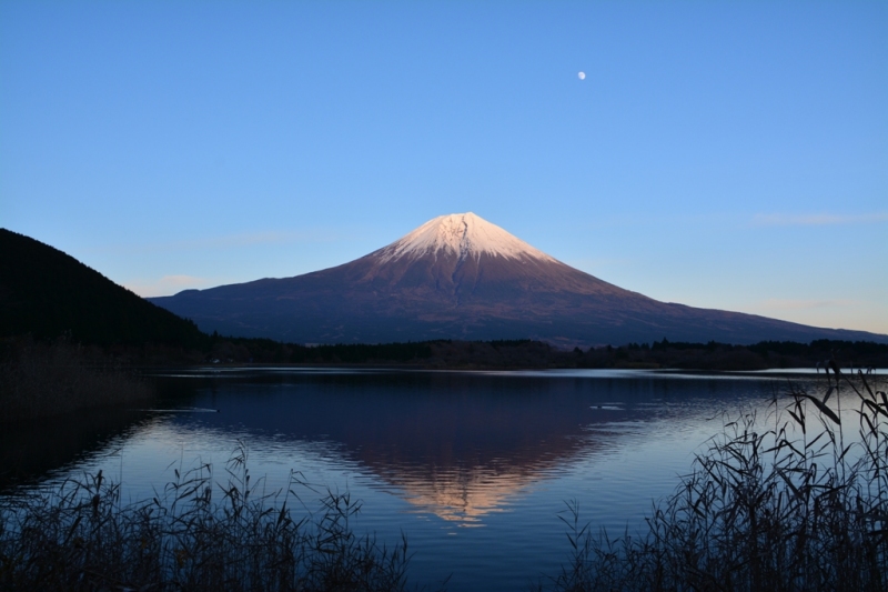 富士山画像作品