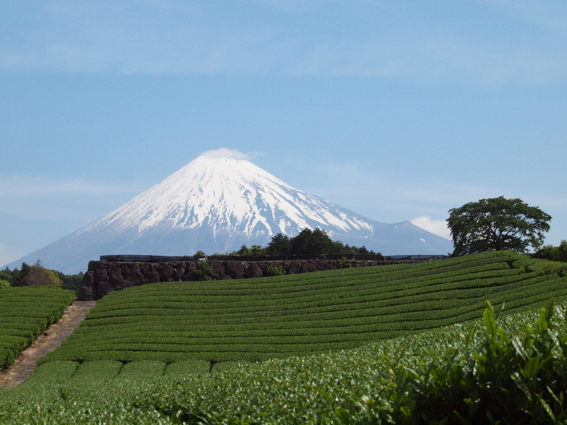 富士山画像作品