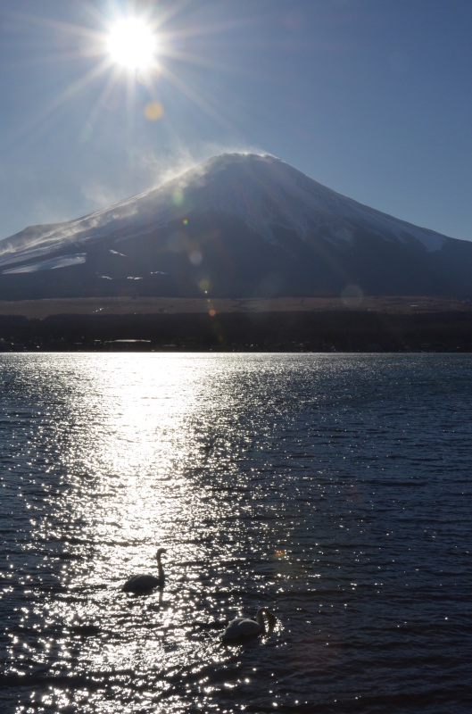 富士山画像作品