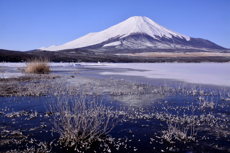 富士山画像作品