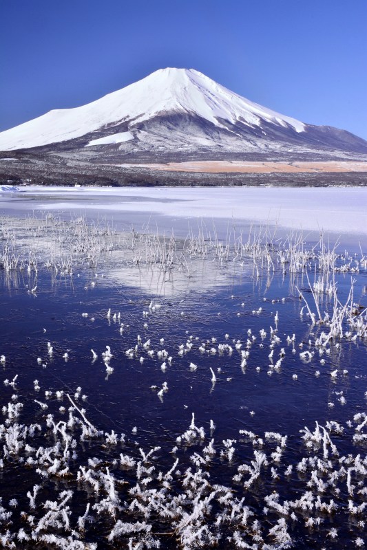 富士山画像作品