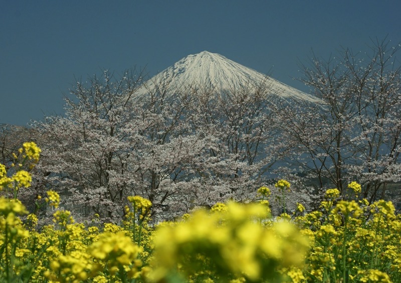 富士山画像作品