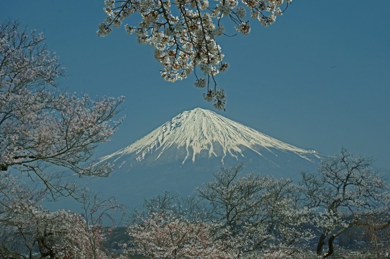 富士山画像作品