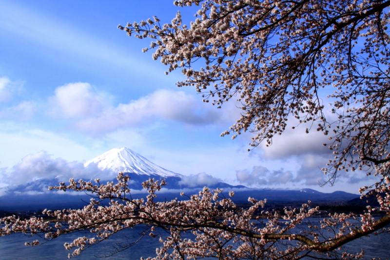 富士山画像記録