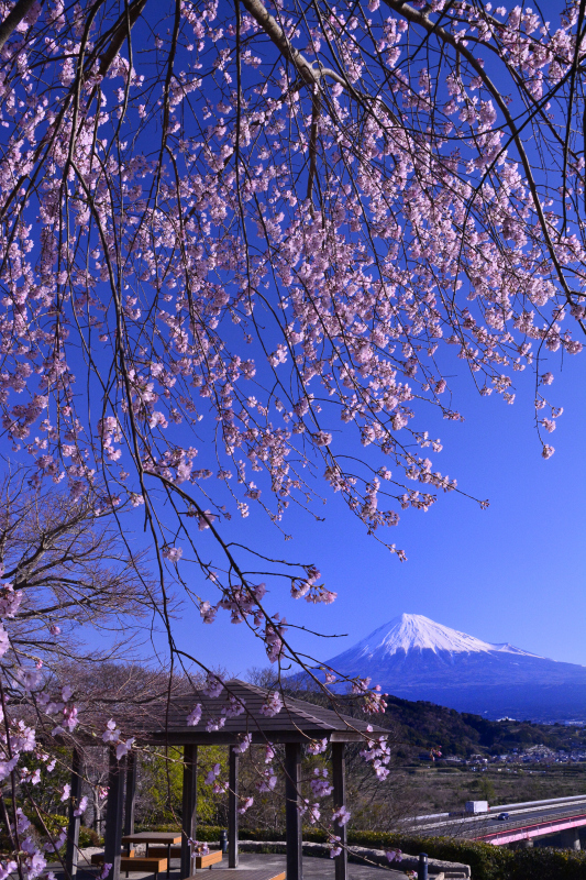 富士山画像作品