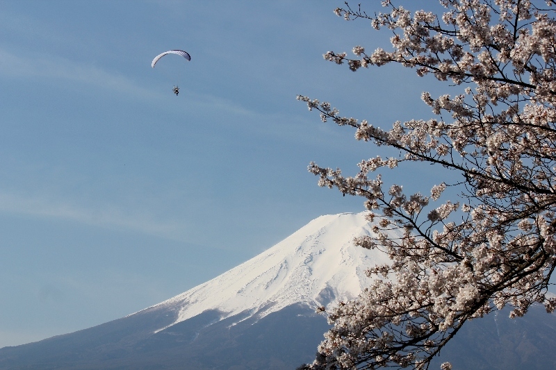 富士山画像作品