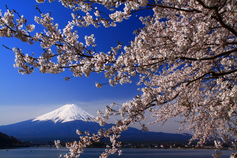 富士山画像記録