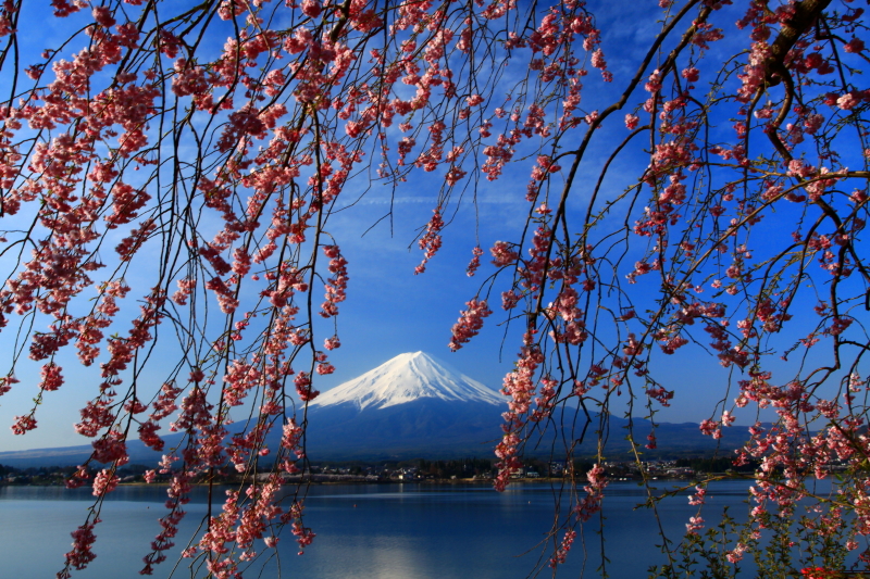 富士山画像記録