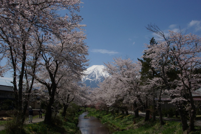 富士山画像記録