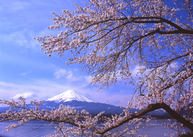 富士山画像作品