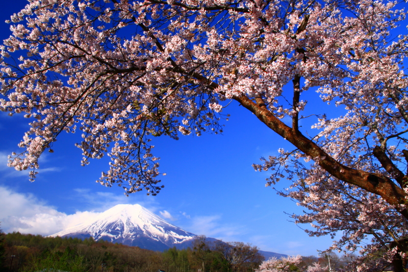 富士山画像記録