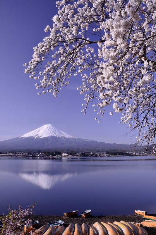 富士山画像作品