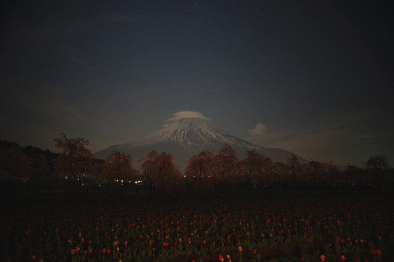 富士山画像記録