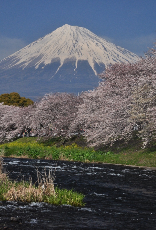 富士山画像作品