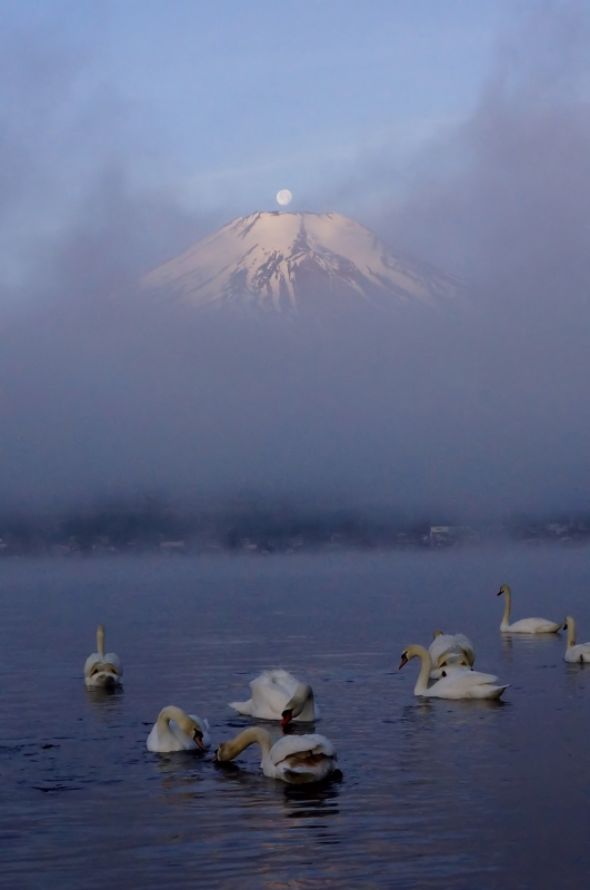 富士山画像記録