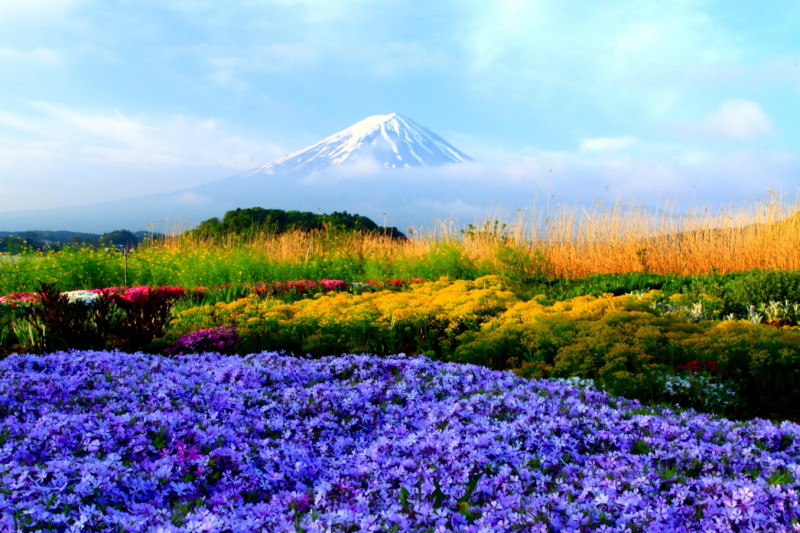 富士山画像記録