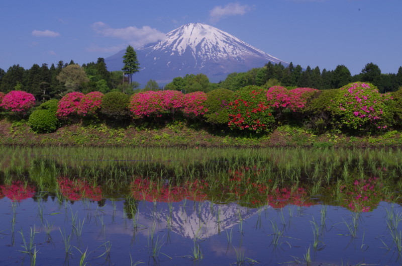 富士山画像記録