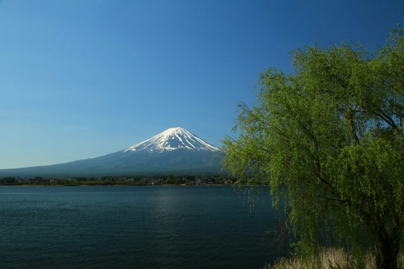 富士山画像記録