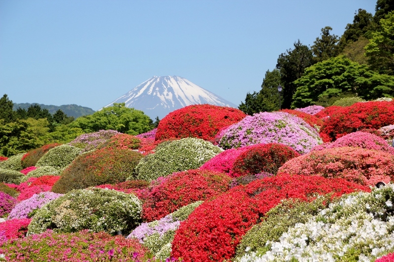 富士山画像作品