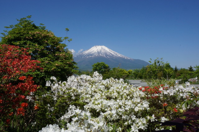 富士山画像記録