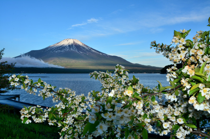 富士山画像作品