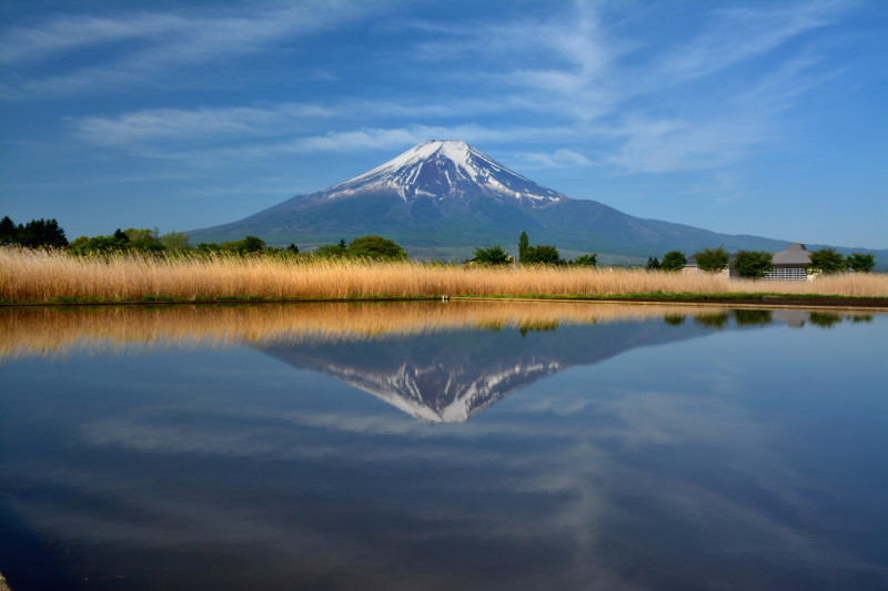 富士山画像作品