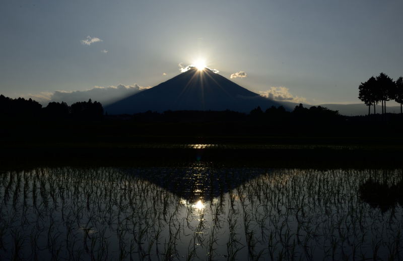 富士山画像記録