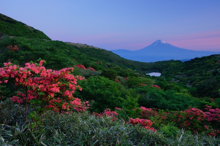 富士山画像作品