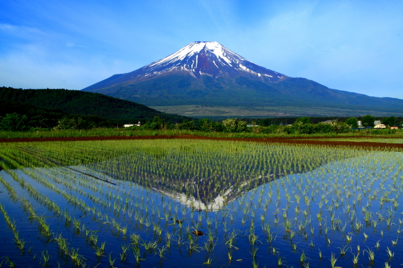 富士山画像記録