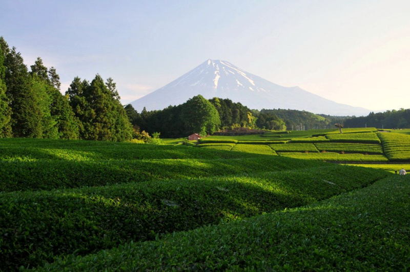 富士山画像作品