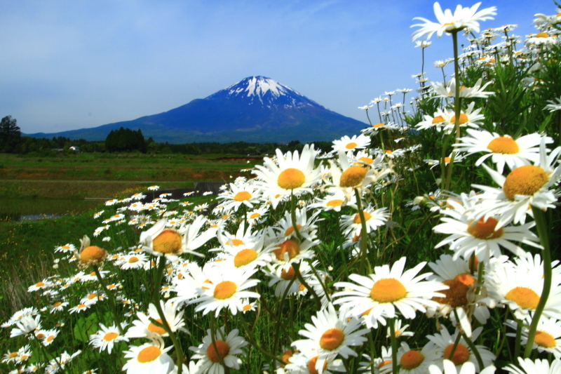 富士山画像記録