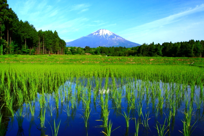 富士山画像記録