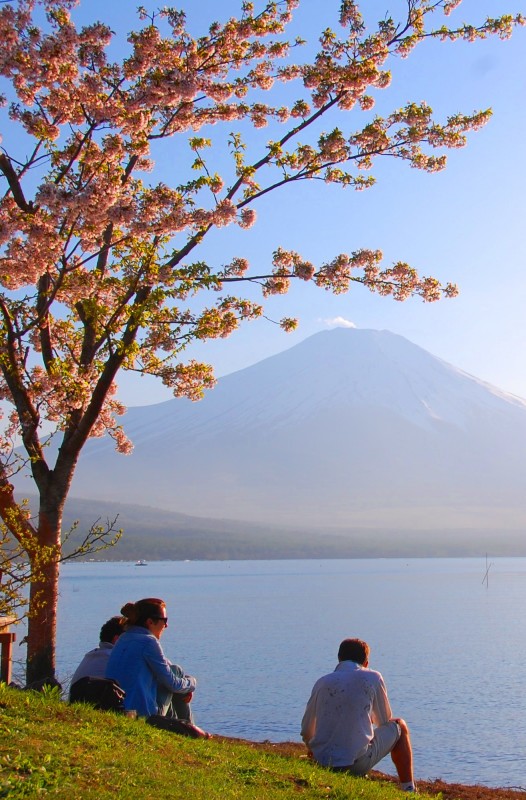 富士山画像作品